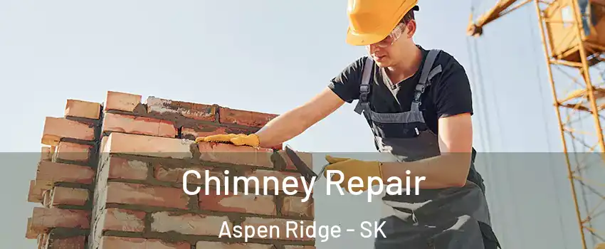  Chimney Repair Aspen Ridge - SK