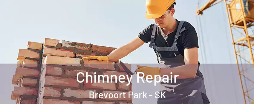  Chimney Repair Brevoort Park - SK