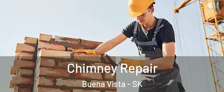  Chimney Repair Buena Vista - SK