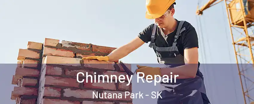  Chimney Repair Nutana Park - SK