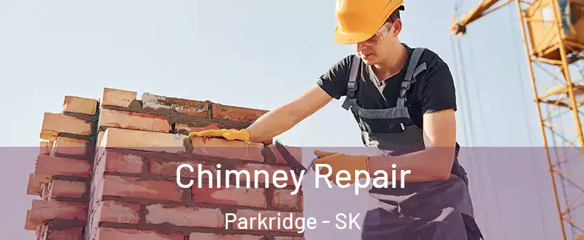  Chimney Repair Parkridge - SK