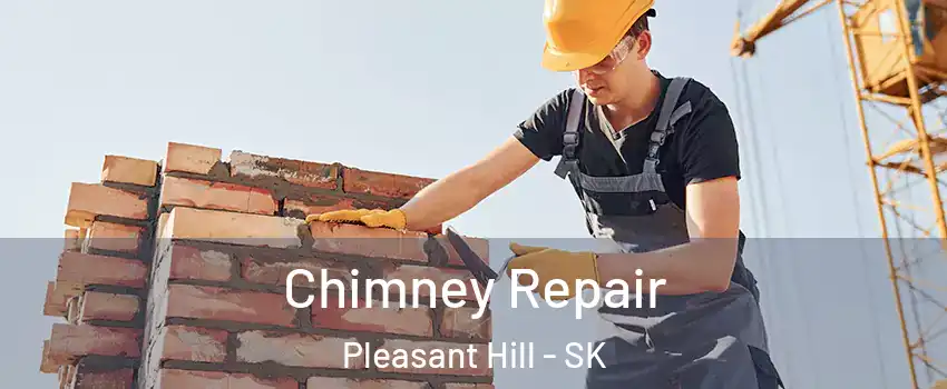  Chimney Repair Pleasant Hill - SK