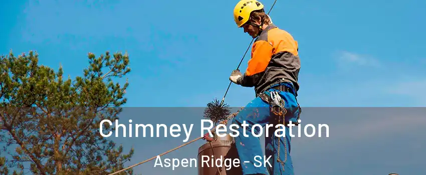  Chimney Restoration Aspen Ridge - SK