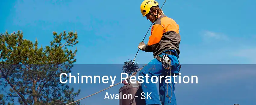  Chimney Restoration Avalon - SK