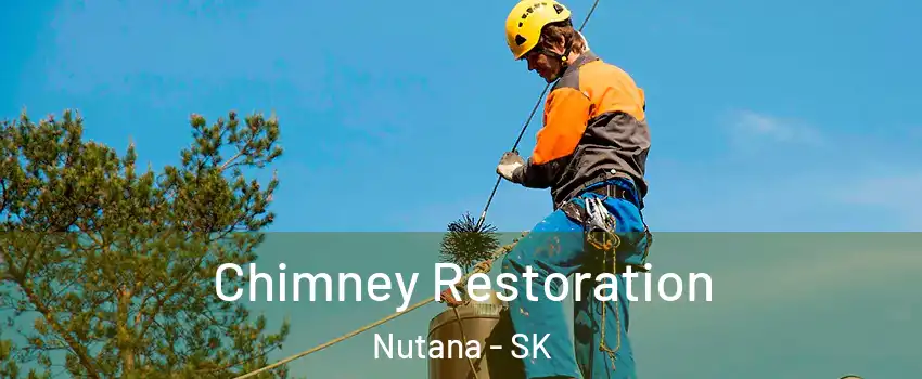  Chimney Restoration Nutana - SK