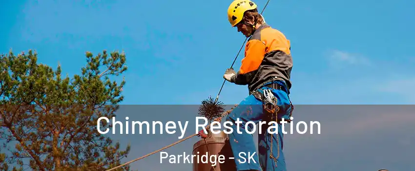 Chimney Restoration Parkridge - SK