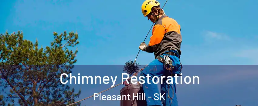  Chimney Restoration Pleasant Hill - SK