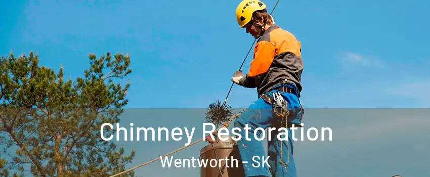  Chimney Restoration Wentworth - SK