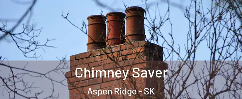  Chimney Saver Aspen Ridge - SK