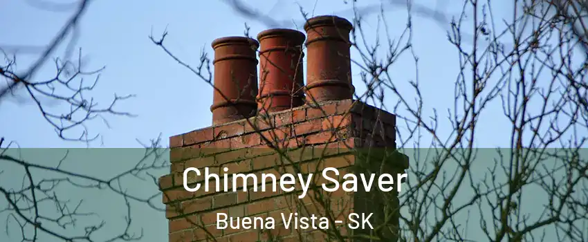  Chimney Saver Buena Vista - SK