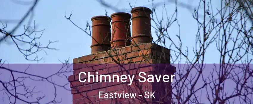  Chimney Saver Eastview - SK