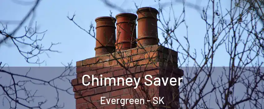  Chimney Saver Evergreen - SK
