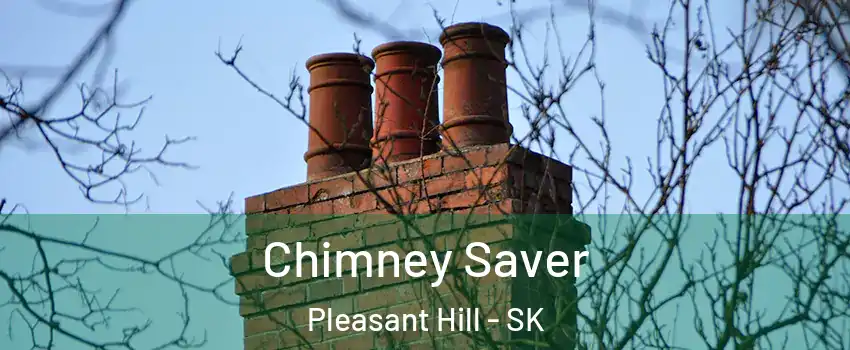  Chimney Saver Pleasant Hill - SK
