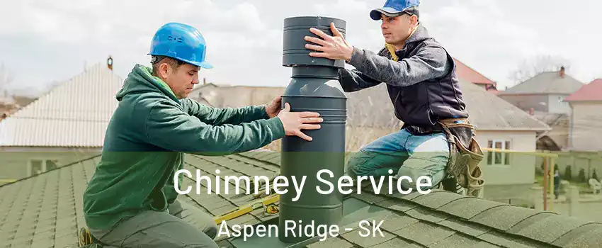  Chimney Service Aspen Ridge - SK