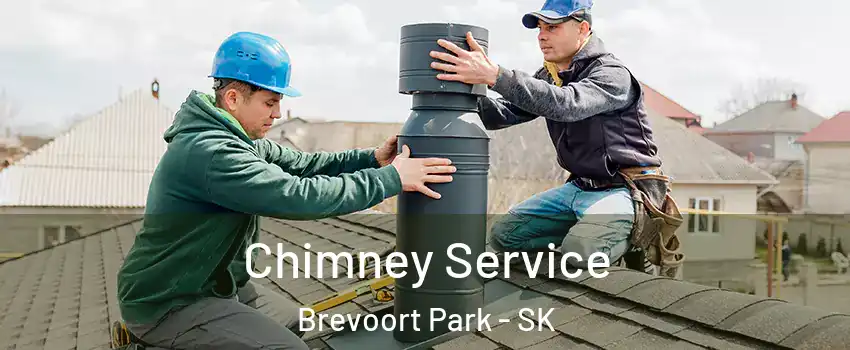  Chimney Service Brevoort Park - SK