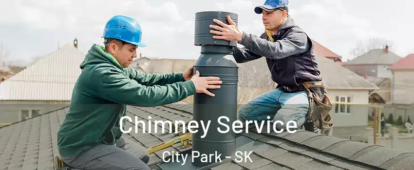 Chimney Service City Park - SK