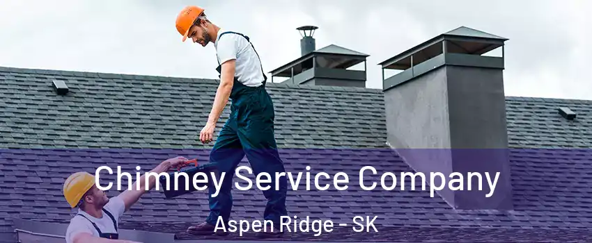  Chimney Service Company Aspen Ridge - SK