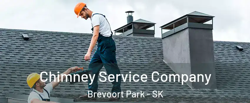  Chimney Service Company Brevoort Park - SK