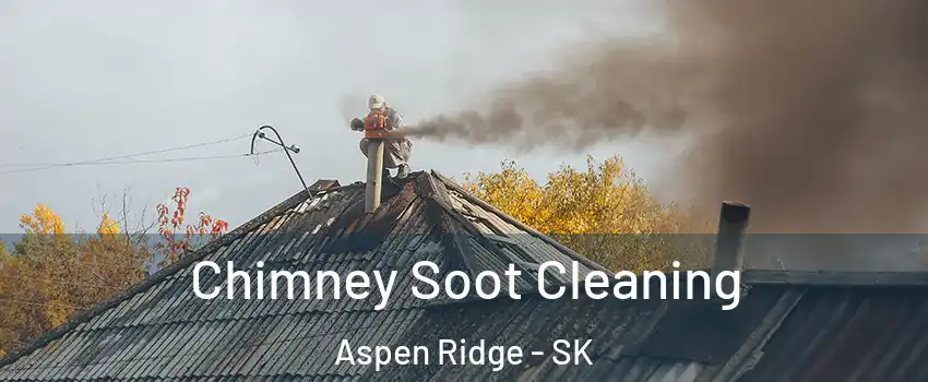  Chimney Soot Cleaning Aspen Ridge - SK