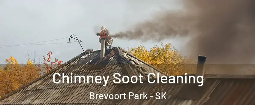  Chimney Soot Cleaning Brevoort Park - SK