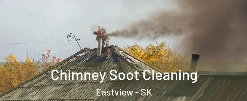  Chimney Soot Cleaning Eastview - SK