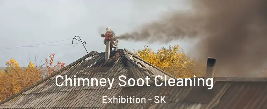  Chimney Soot Cleaning Exhibition - SK