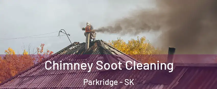  Chimney Soot Cleaning Parkridge - SK
