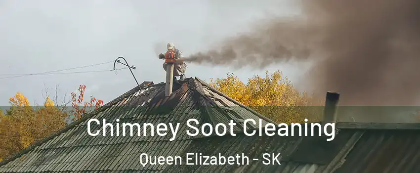  Chimney Soot Cleaning Queen Elizabeth - SK