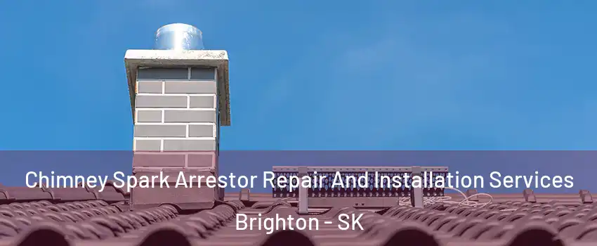 Chimney Spark Arrestor Repair And Installation Services Brighton - SK