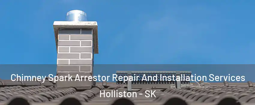  Chimney Spark Arrestor Repair And Installation Services Holliston - SK