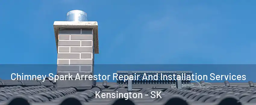  Chimney Spark Arrestor Repair And Installation Services Kensington - SK