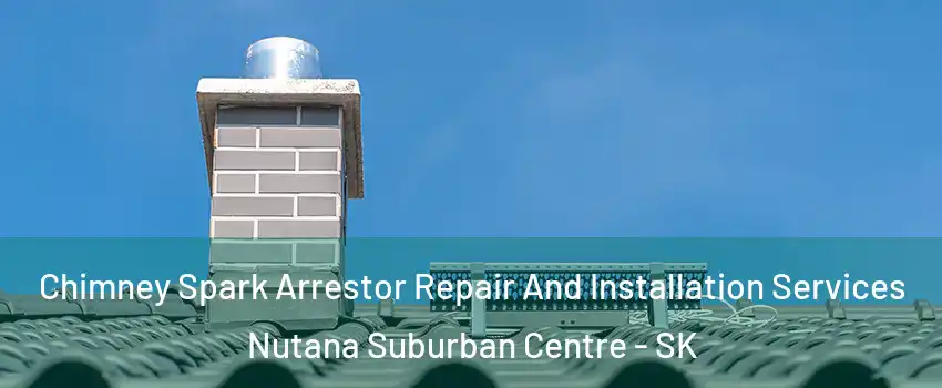  Chimney Spark Arrestor Repair And Installation Services Nutana Suburban Centre - SK