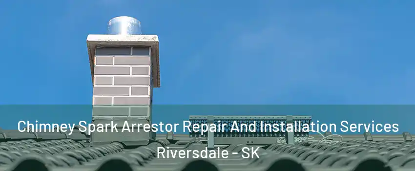  Chimney Spark Arrestor Repair And Installation Services Riversdale - SK
