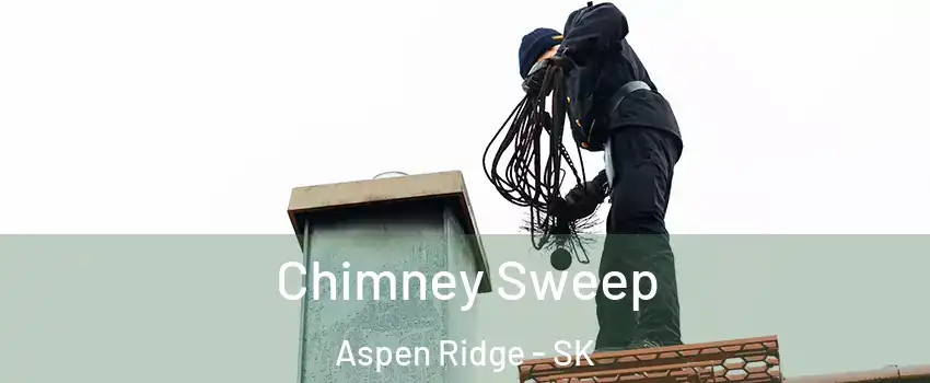  Chimney Sweep Aspen Ridge - SK