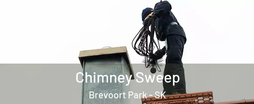  Chimney Sweep Brevoort Park - SK