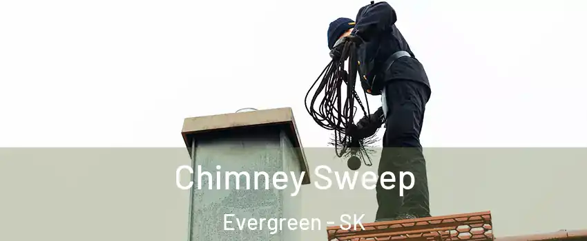  Chimney Sweep Evergreen - SK