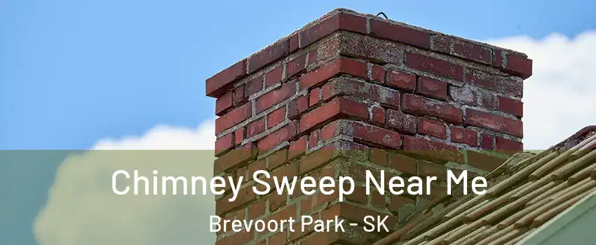  Chimney Sweep Near Me Brevoort Park - SK