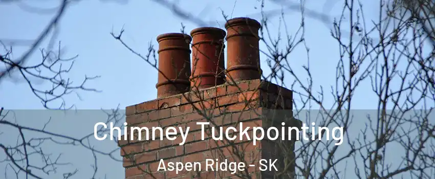  Chimney Tuckpointing Aspen Ridge - SK