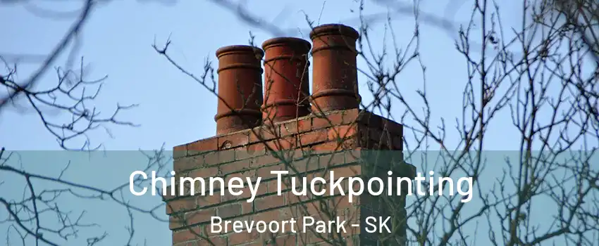  Chimney Tuckpointing Brevoort Park - SK