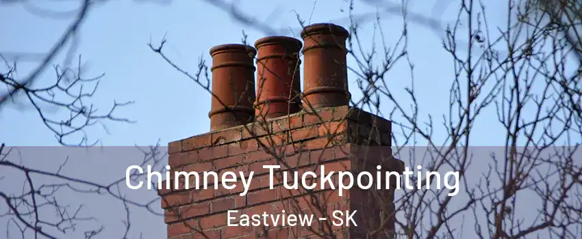  Chimney Tuckpointing Eastview - SK