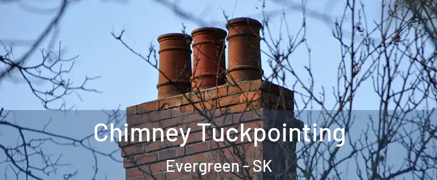  Chimney Tuckpointing Evergreen - SK