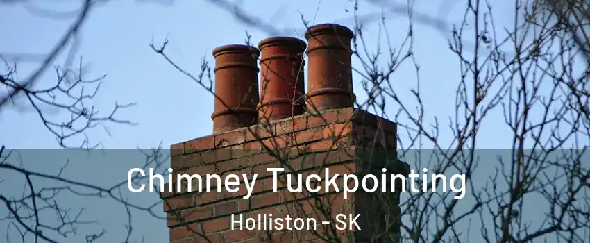  Chimney Tuckpointing Holliston - SK