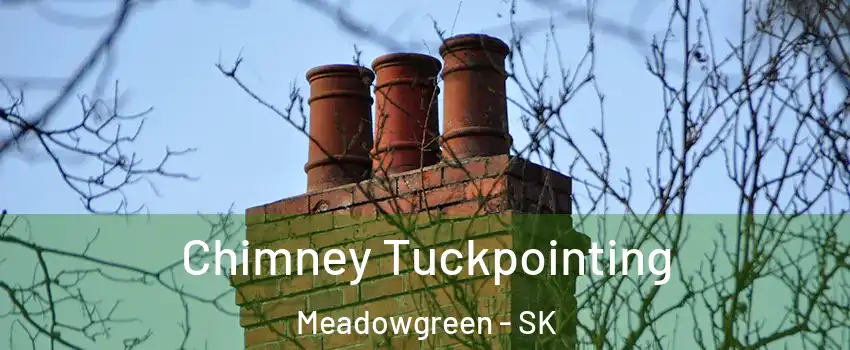  Chimney Tuckpointing Meadowgreen - SK