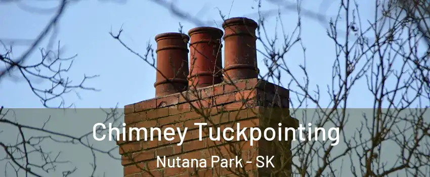  Chimney Tuckpointing Nutana Park - SK