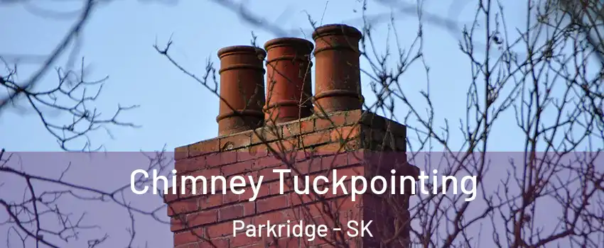  Chimney Tuckpointing Parkridge - SK