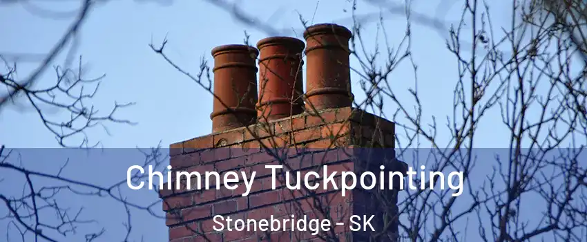  Chimney Tuckpointing Stonebridge - SK