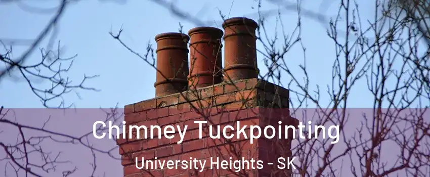  Chimney Tuckpointing University Heights - SK