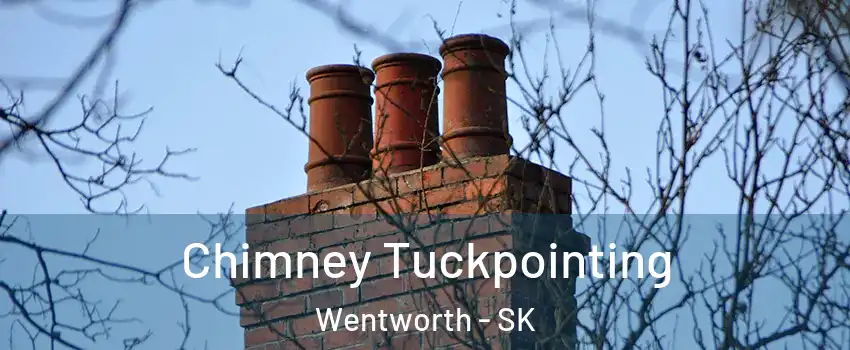  Chimney Tuckpointing Wentworth - SK