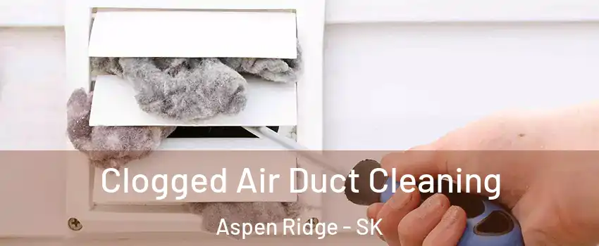  Clogged Air Duct Cleaning Aspen Ridge - SK