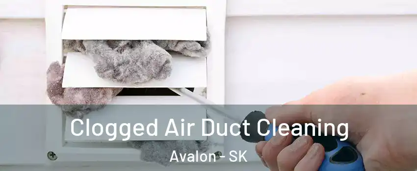  Clogged Air Duct Cleaning Avalon - SK